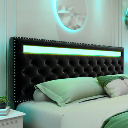 Black velvet full size platform bed with button-tufted adjustable LED headboard, silver nailhead trim, and four underbed storage drawers on casters