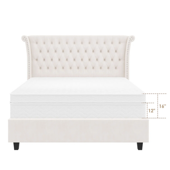 White velvet king-size platform bed with tall tufted wingback headboard, nailhead trim, and no box spring required

